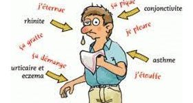 Saint-Thomas : Pollen d'ambroisie