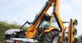 Saint-Thomas : élagage