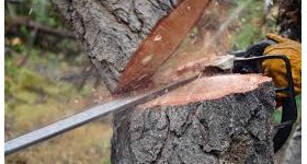 Saint-Thomas : abords de l'église