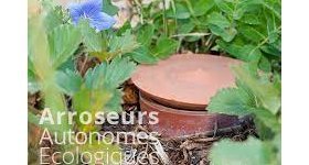 Saint-Thomas : OYAS A LA VENTE