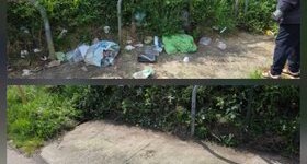 Saint-Thomas : NOS PLATEFORMES DE PORTAGE VOLONTAIRE D'ORDURES MENAGERES ET UTILISATION DES BACS DE TRI