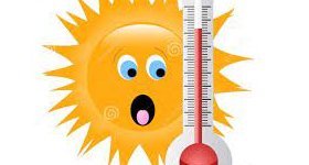 Saint-Thomas : PLAN "CANICULE"