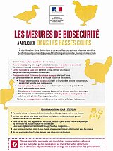 grippe aviaire 2