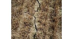 Saint-Thomas : Arrêté pour la sécheresse agricole 2022